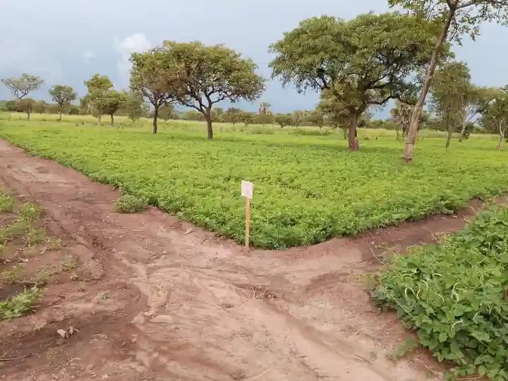 Climate-Smart Agriculture