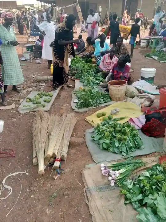 Sustainable Livelihoods