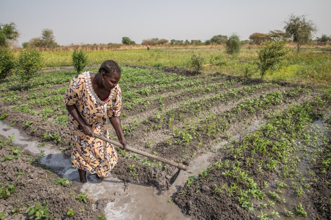 Woman irrigating field for sustainable agriculture in South Sudan
